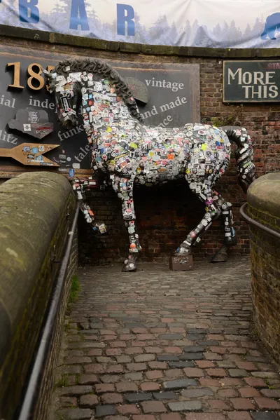 DSC_6085 (Large).JPG